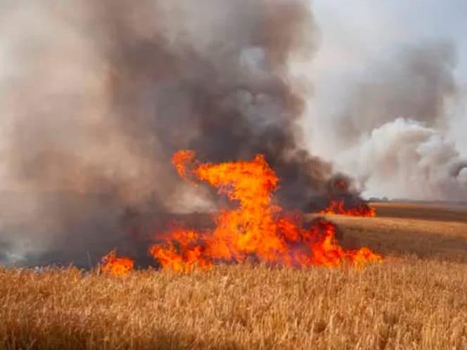 Crisnée : incendie dans les campagnes