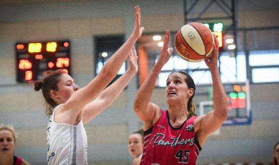 Basket : les Panthers dans le dernier carré !