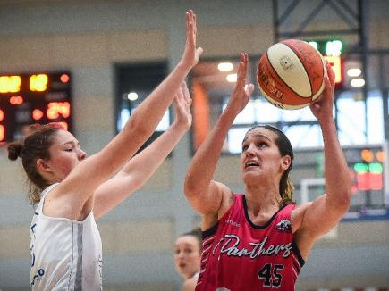 Basket : les Panthers dans le dernier carré !