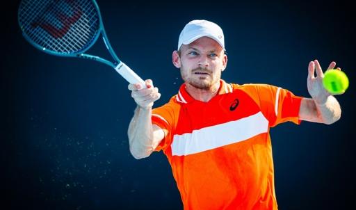 Coupe Davis : David Goffin décline finalement sa sélection 