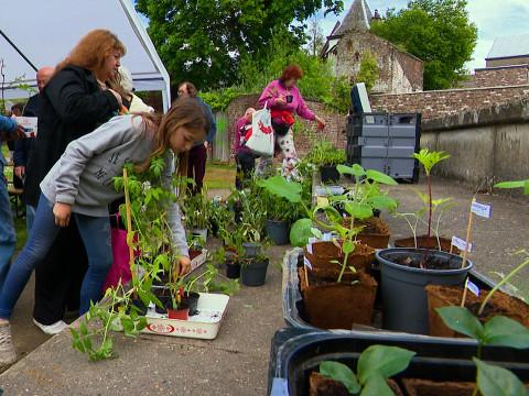 Amay : troc de plantes et de savoir pour jardiner solidaire 