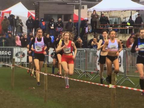 CrossCup de Hannut : nouveau tracé pour la 79e édition