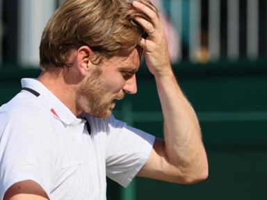 Tennis : David Goffin sorti au premier tour à Winnipeg 