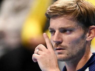 Tennis : Goffin renoue avec la victoire 