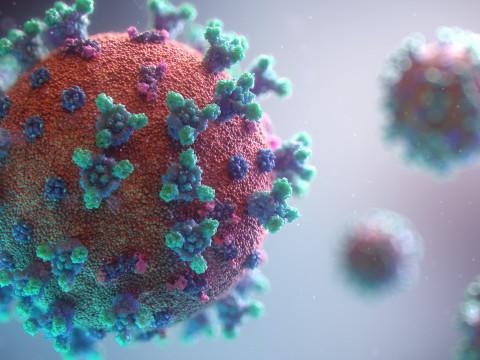 Tous les indicateurs de l'épidémie de Covid en forte baisse