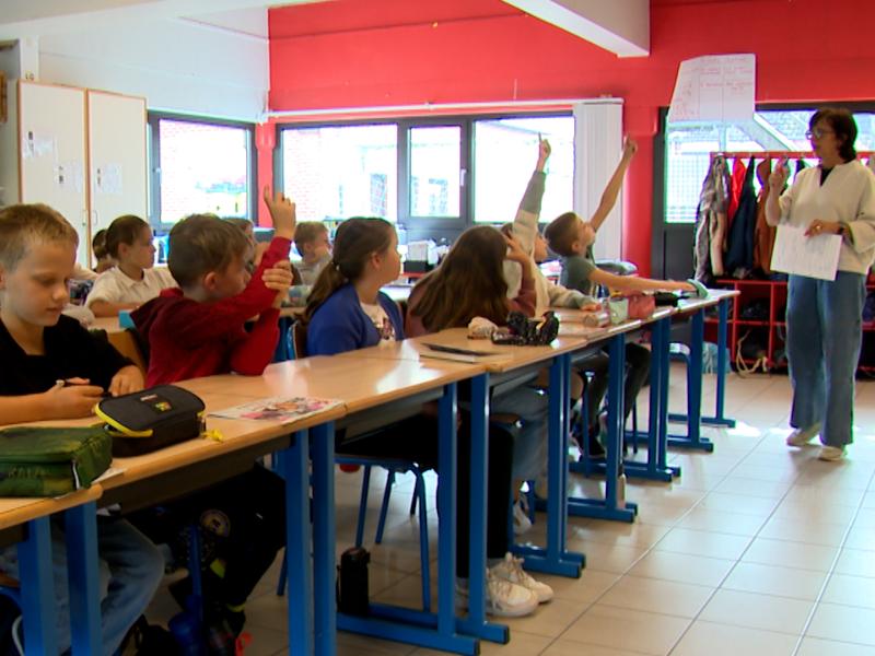 Prévention du harcèlement à l'école