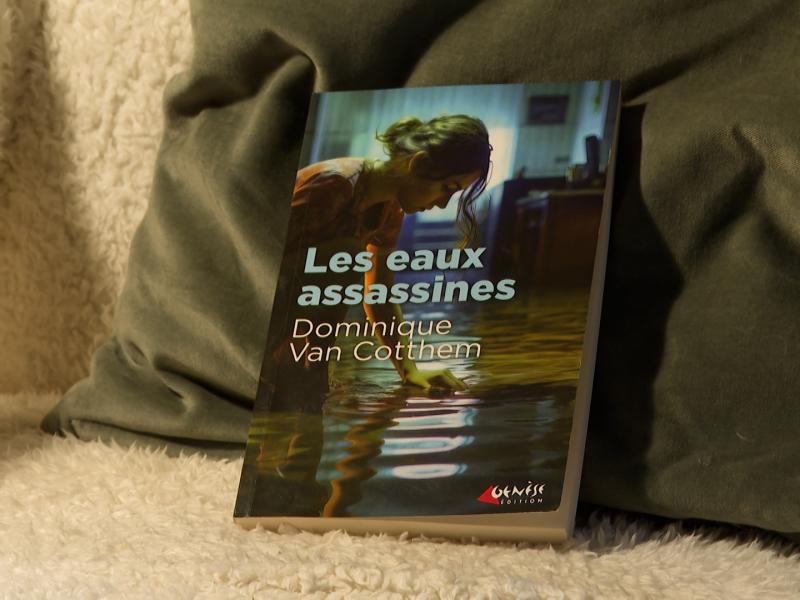 "Les eaux assassines" un roman inspiré par les inondations de juillet 2021