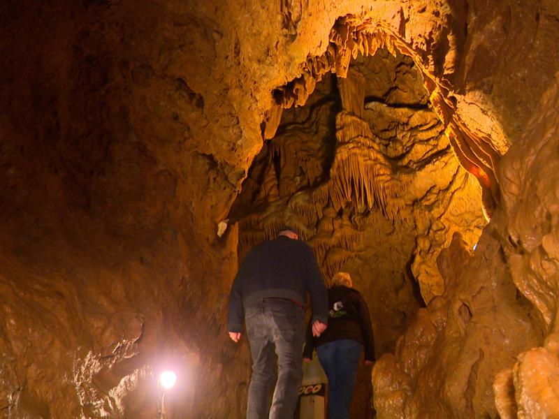 Grotte de Comblain : Silence, on hiberne !