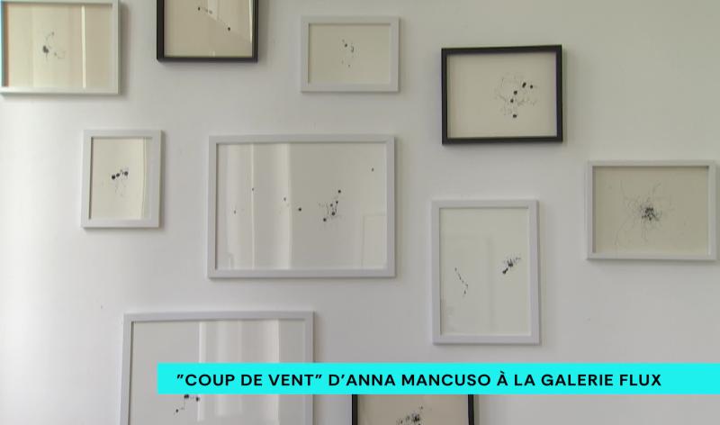 Expo : "coup de vent" d'Anna Mancuso à la galerie Flux