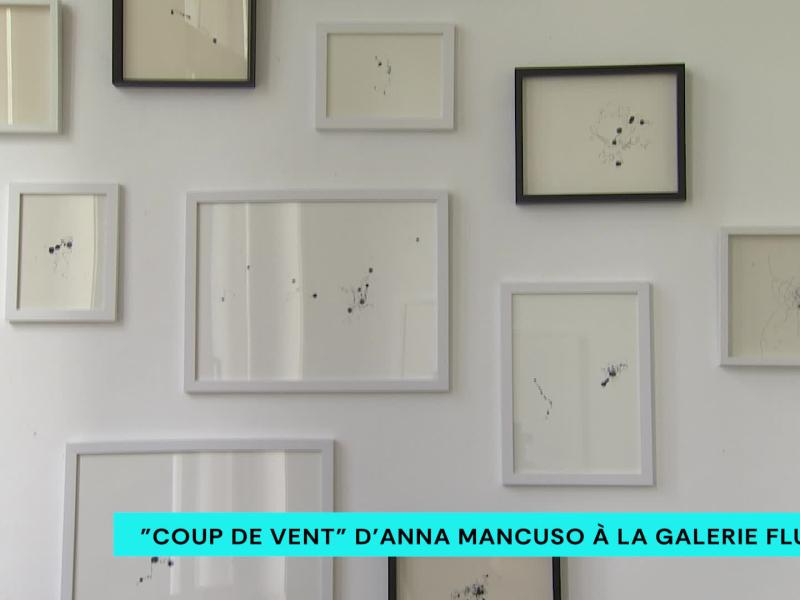 Expo : "coup de vent" d'Anna Mancuso à la galerie Flux