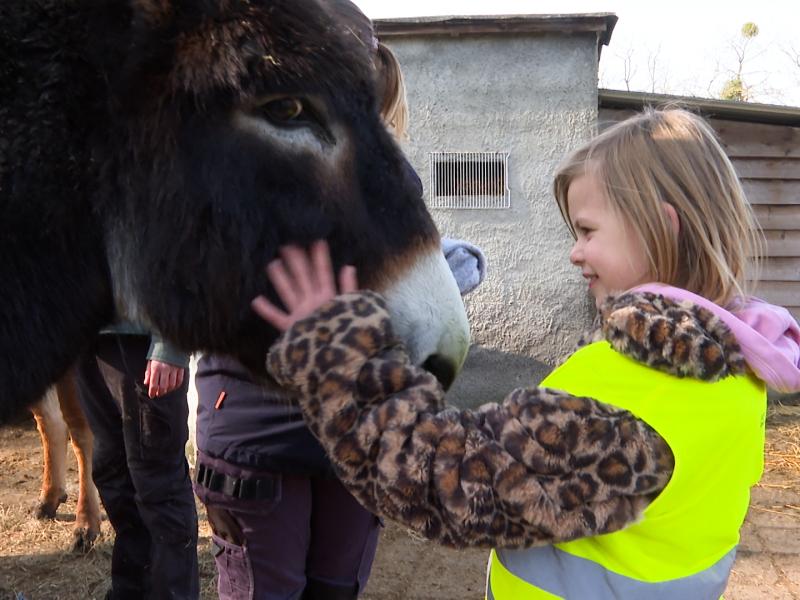 Stage à La Ferme des Enfants