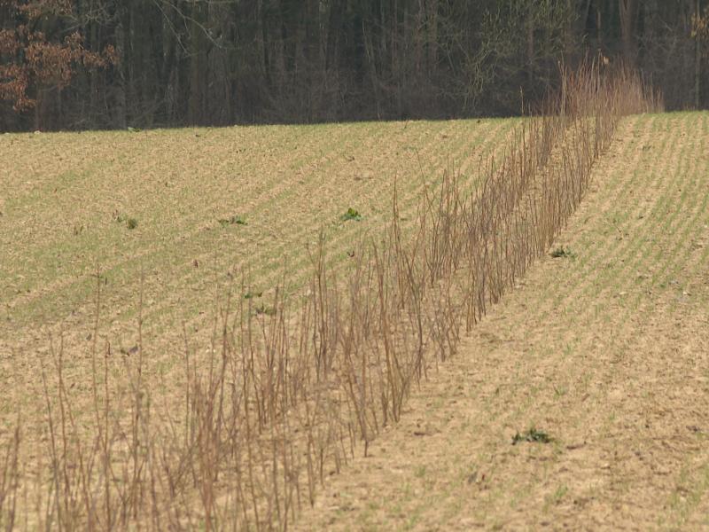 Eau potable : mesures agricoles pour protéger les captages