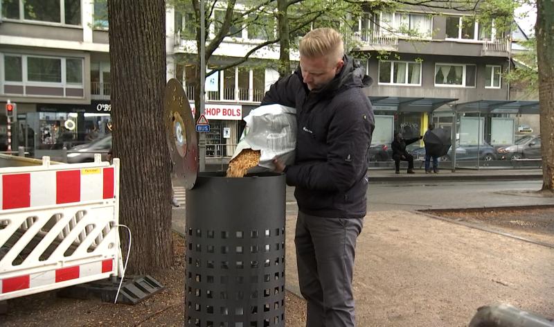Graines contraceptives pour pigeons