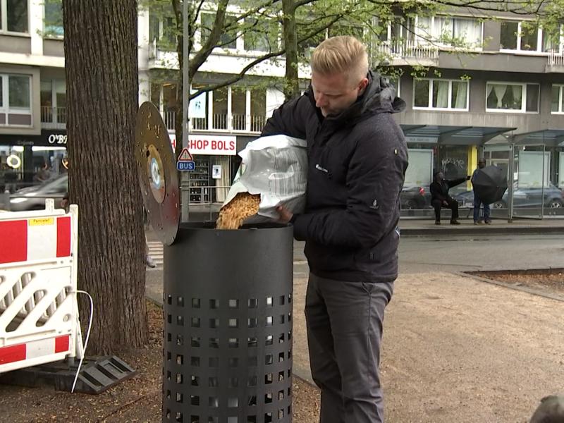 Graines contraceptives pour pigeons