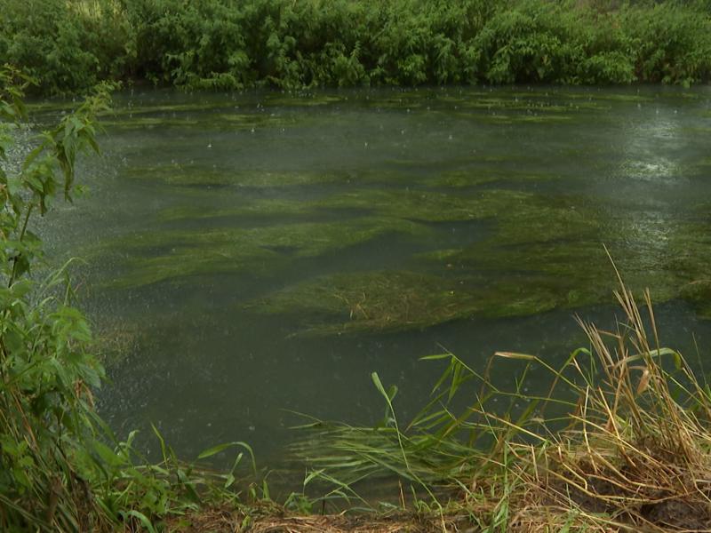 Le niveau du Geer anormalement haut inquiète les riverains