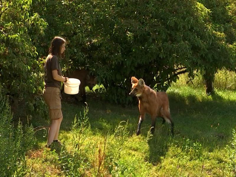 Métier passion : soigneuse dans un parc animalier