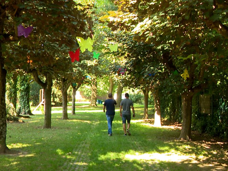 500 papillons dans les rues de Hannut