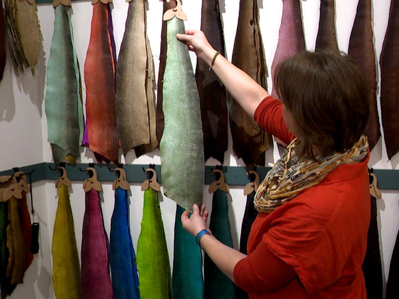 Unique à Liège: une tannerie de cuirs de poissons