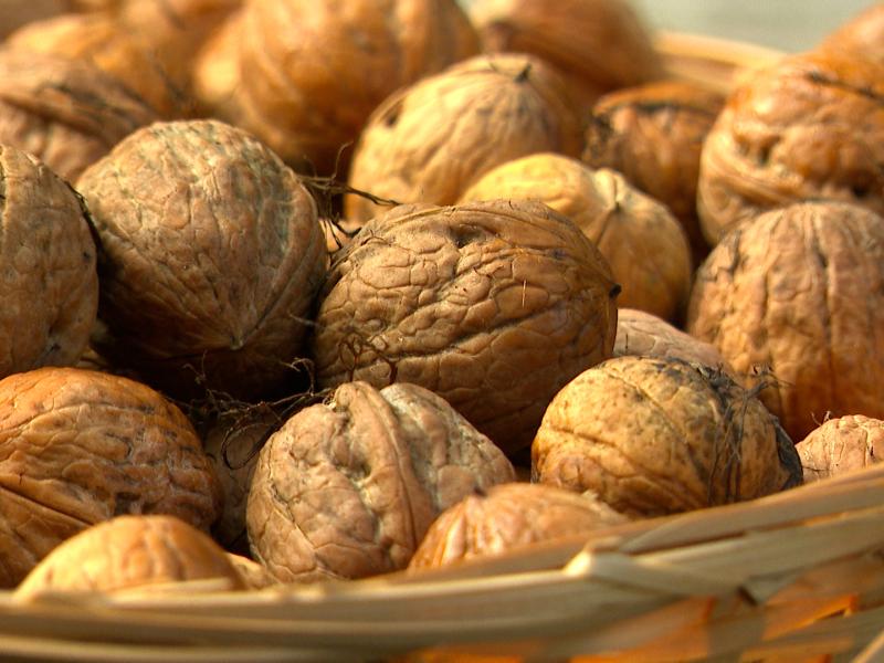 La récolte de noix s'annonce exceptionnelle