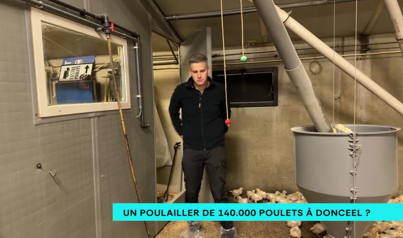 Un poulailler de 140.000 poulets à Donceel ?