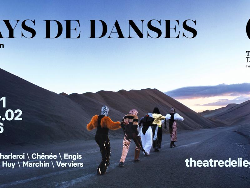 Festival Pays de Danse: 11e édition