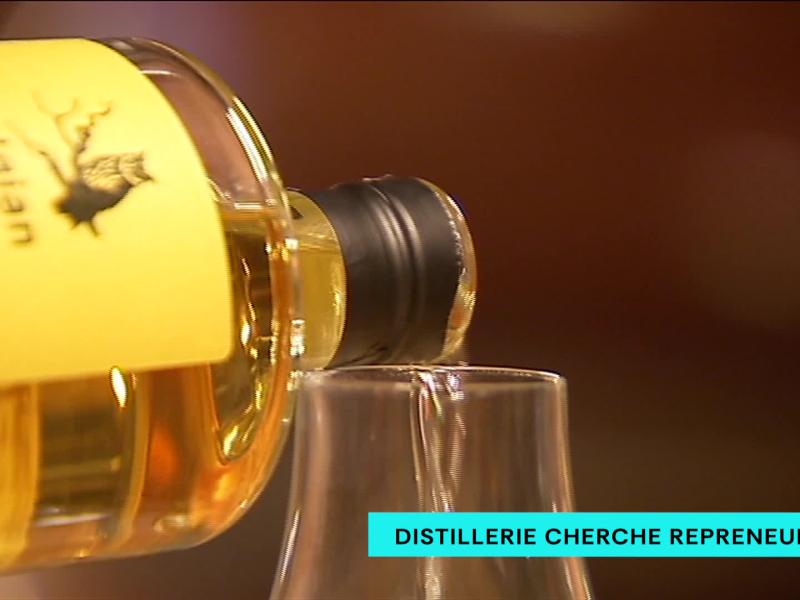 Distillerie cherche repreneurs