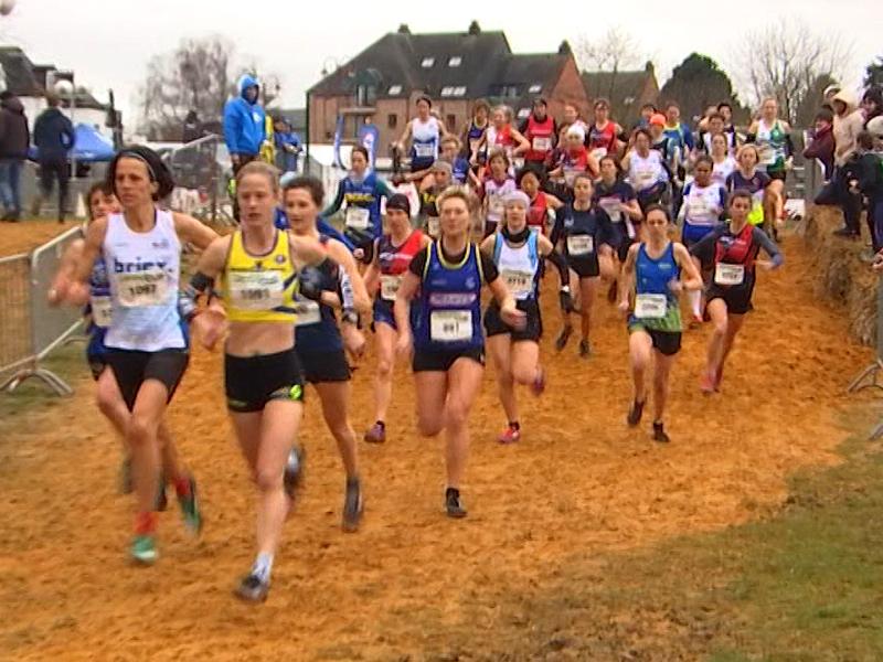 Programme cross de Hannut: du beau temps et des stars belges à l'honneur