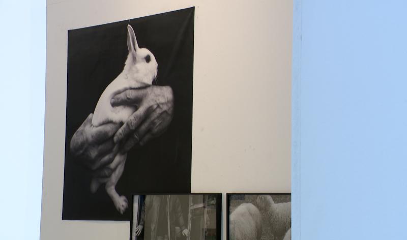 L’esprit Doisneau interprété par la nouvelle génération