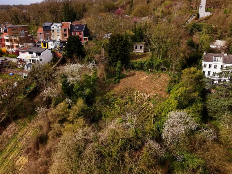 Côteaux de la Citadelle : pas d'élagage sans autorisation même pour l'Evêché
