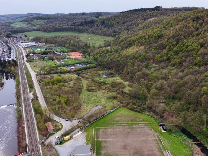 FrichNat : inventaire de la biodiversité dans les friches industrielles