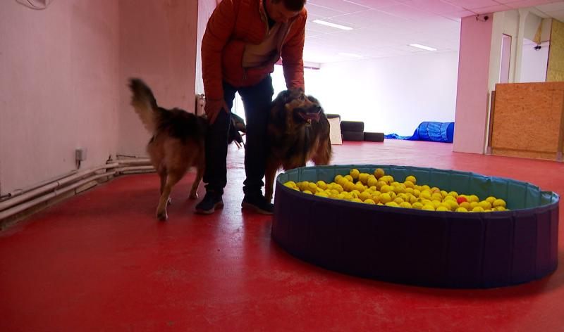 Temps de chien: plaine de jeux indoor à Flémalle