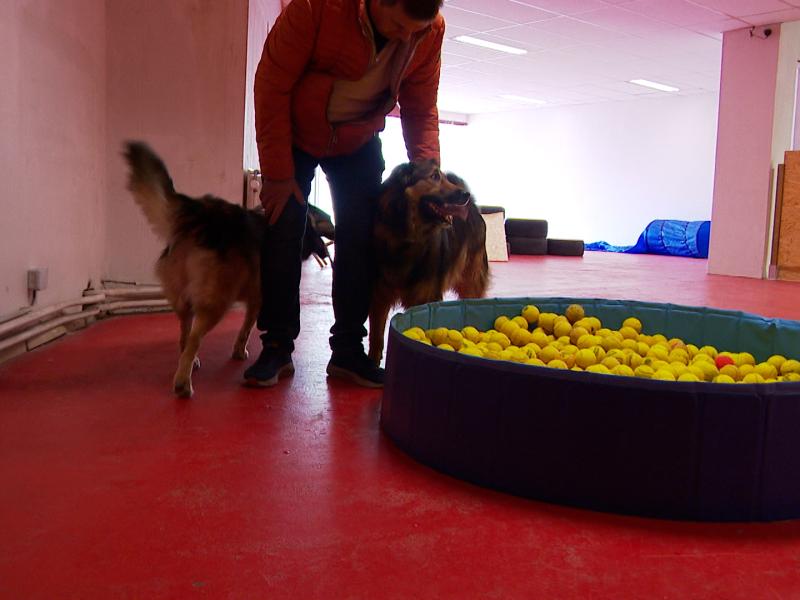 Temps de chien: plaine de jeux indoor à Flémalle