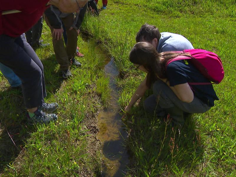 Réserve de la Rochette : une nature rare s'épanouit sur un passé industriel pollué