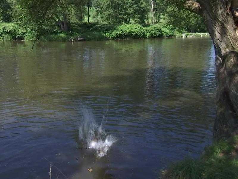 Zone de baignade reconnue : aucune en région liégeoise