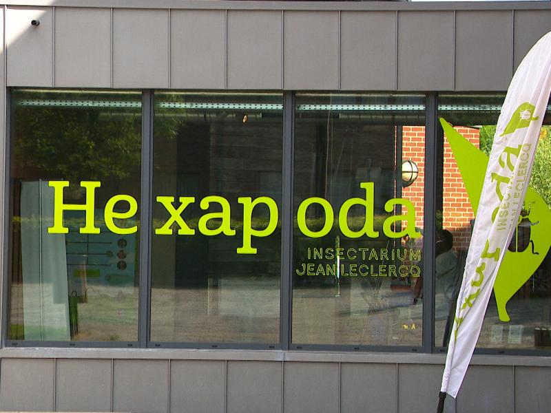Nouvelles expériences immersives à Hexapoda