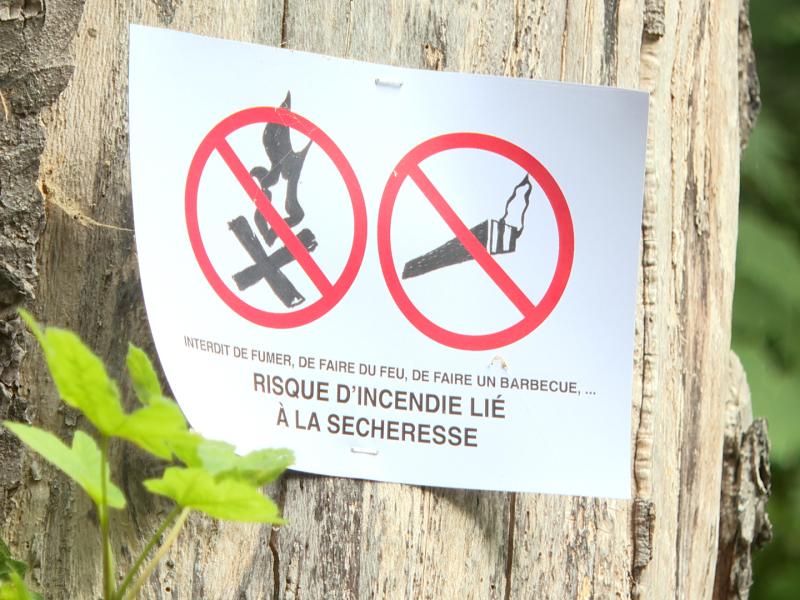 Incendies dans les coteaux : Des mesures de sécurité seront prises rapidement