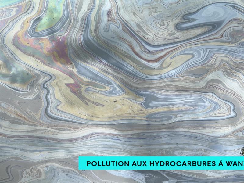Pollution aux hydrocarbures dans la Meuse à Bas-Oha (Wanze) : "Ça peut être de l'huile ou du mazout"