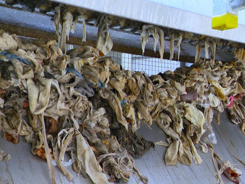 Les lingettes à usage unique, biodégradables ou non, créent quotidiennement des bouchons dans nos stations d'épuration