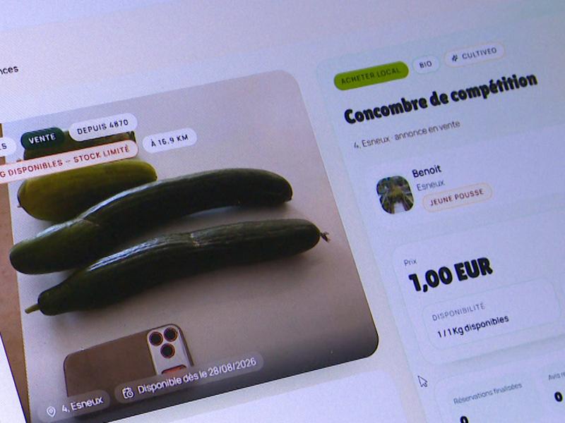Cultiveo : une plateforme pour échanger le surplus de ses récoltes