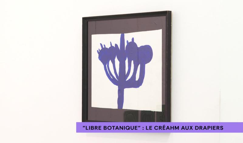"Libre Botanique" le Creahm expose aux Drapiers