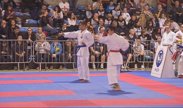 Visé : championnat européen de karaté Wudokai 