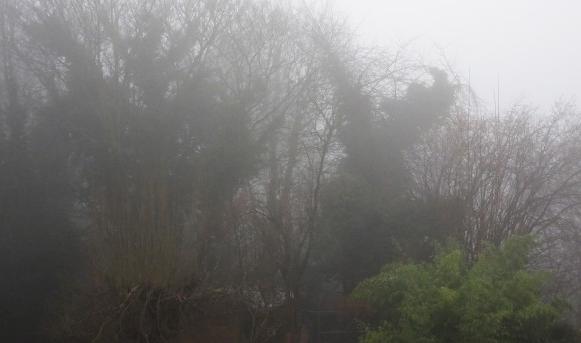 Attention au brouillard