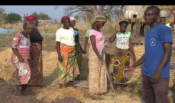 Le travail de l'ONG Iles de Paix au Bénin