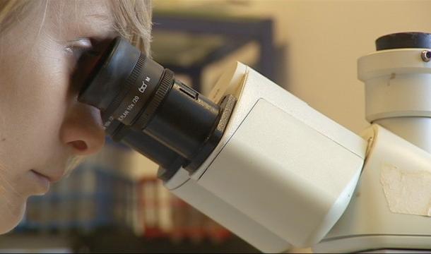 Université : thérapie cellulaire pour traiter l'asthme 