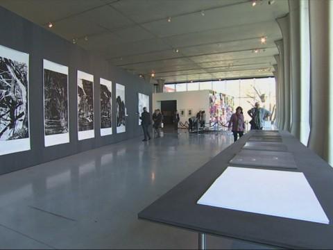 Biennale de la gravure, 200 oeuvres exposées