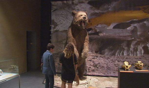 Préhistomuseum : Les géants de l'âge de glace jusqu'au 19 avril 