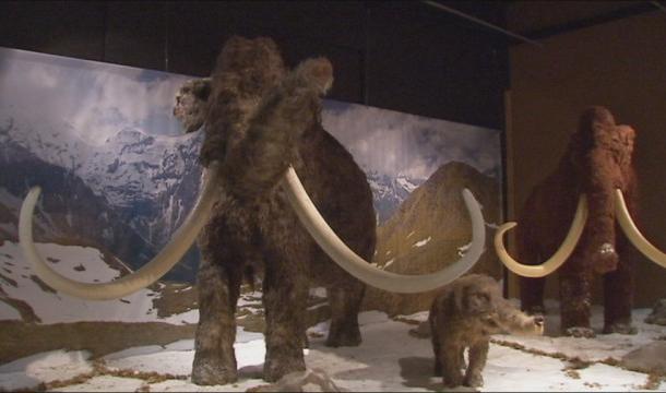 25 000 visiteurs pour le Monde des Géants de l'âge de Glace