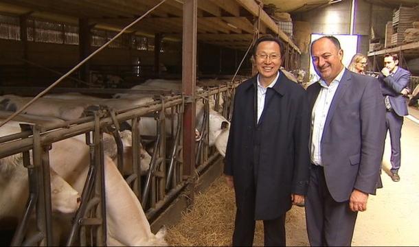 Un ministre chinois visite une exploitation bovine en Hesbaye