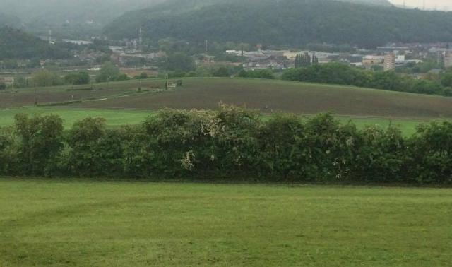  Chênée: Un collectif d'habitants contre un projet d'éco-quartier.