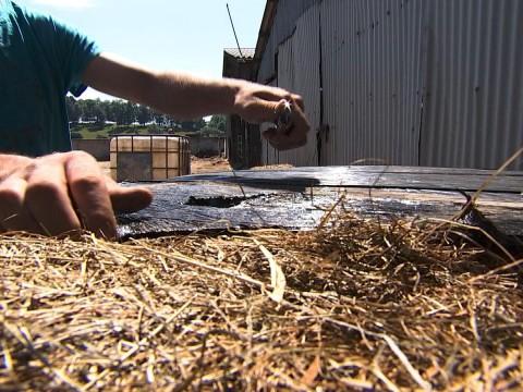 Les bâches agricoles ne sont plus collectées 